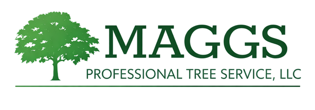 Tree Cabling Services | Franklin, OH