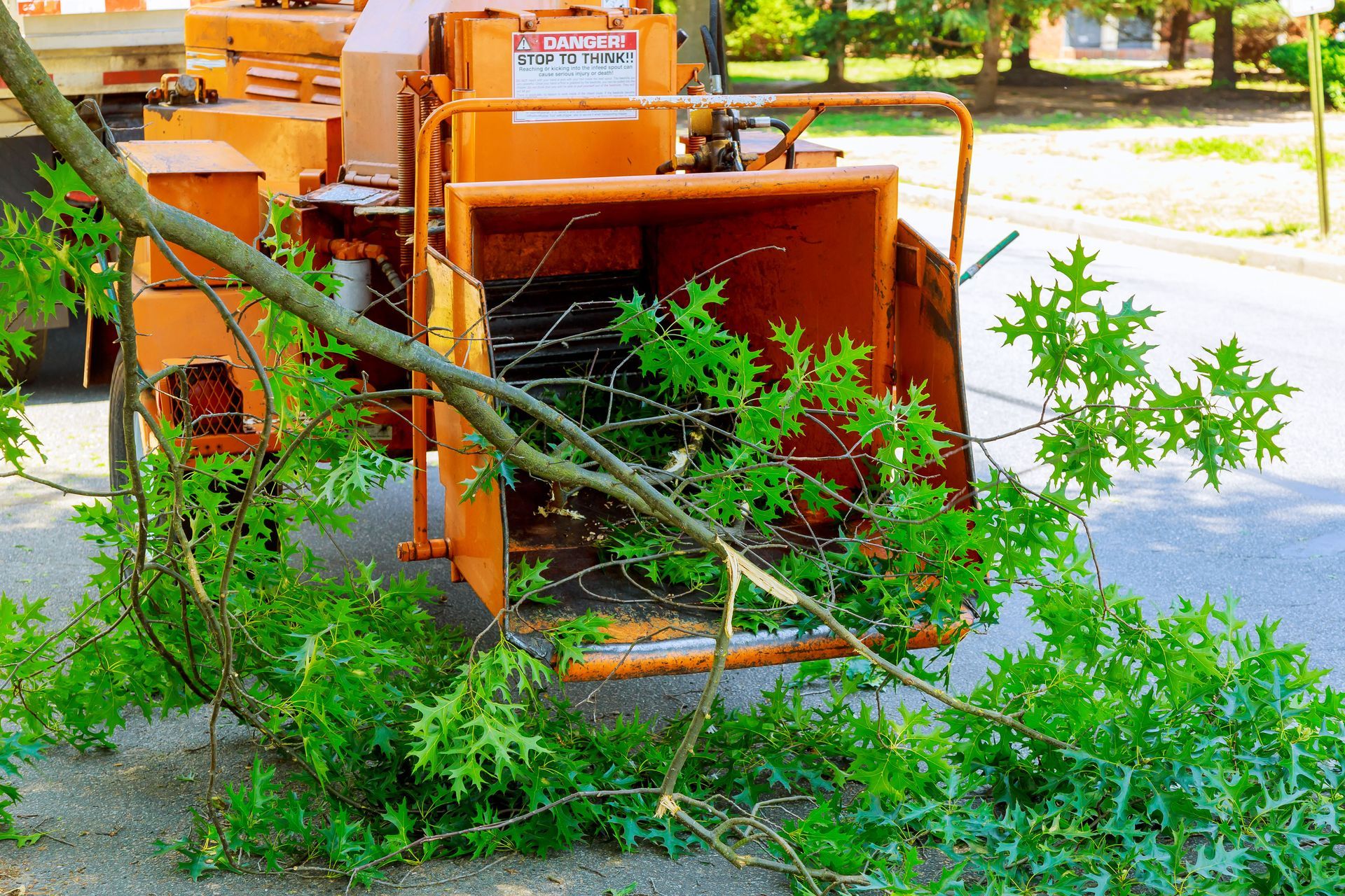 An orange wood chipper on an asphalt surface with a leafy green branch placed in the intake hopper.