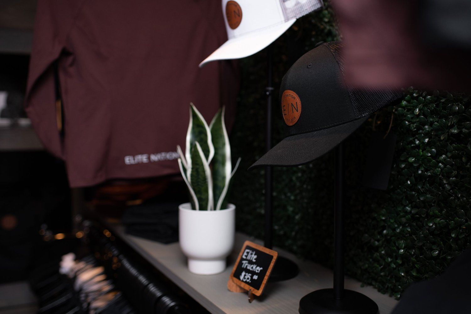 Display of hats and sweatshirt on a shelf. A plant in a white pot is between the items. A sign reads 