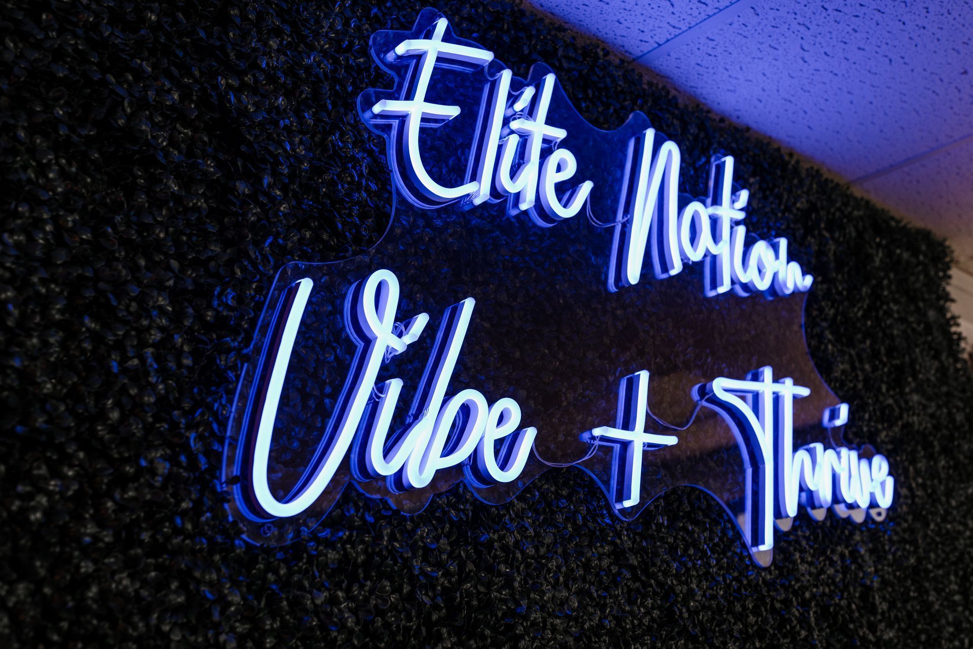 Blue neon sign on a dark green wall, reading 