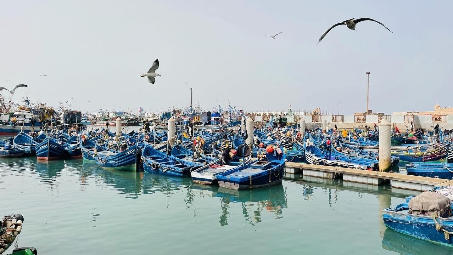 Blue fishing boats docked in harbor, seagulls flying overhead.