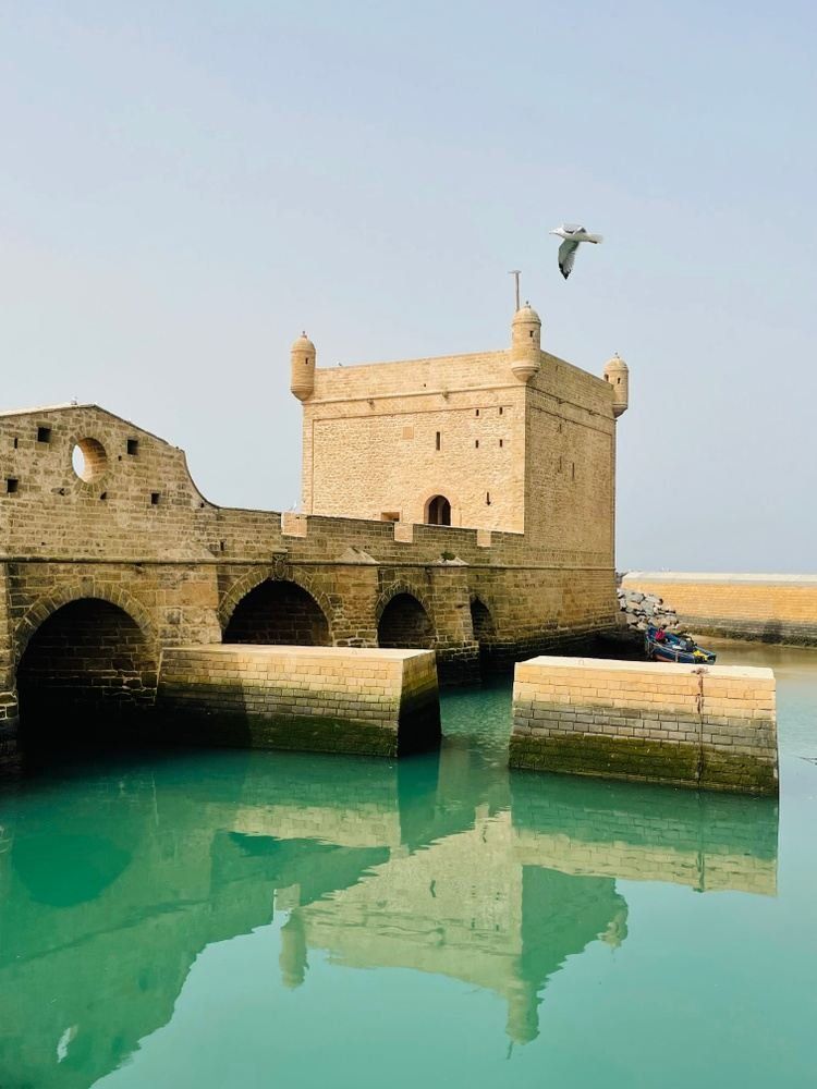 Stone fortress with arches over turquoise water, Essaouira, Morocco; bird in flight.