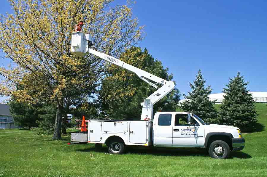 Tree Service Equipment Rockford, IL