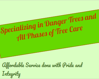 Specializing in danger trees and all phases of tree care