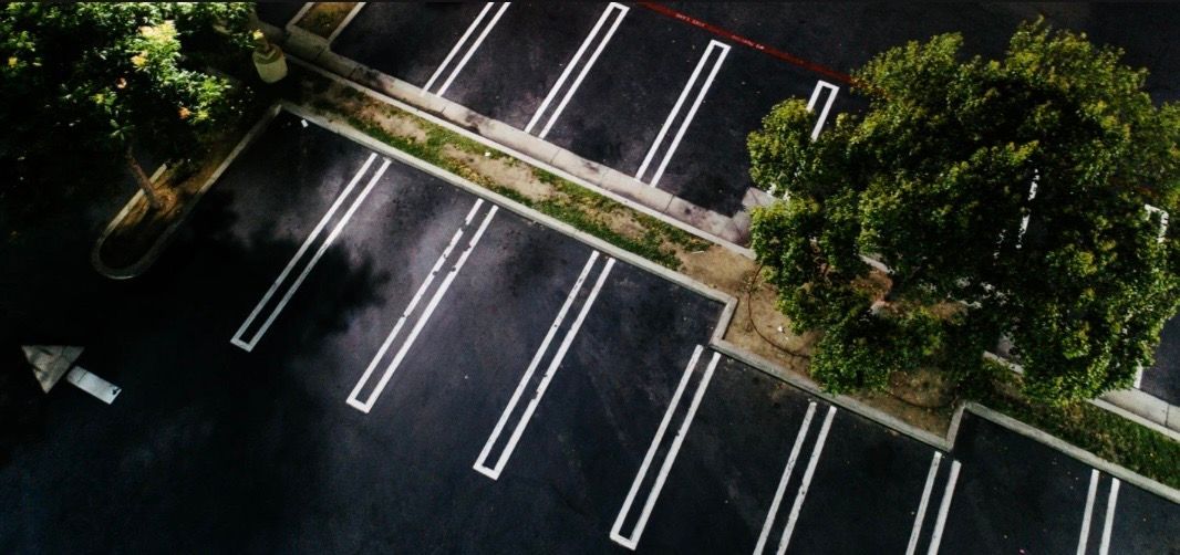 Empty parking lot with white-striped spaces beside trees and a curb at dusk