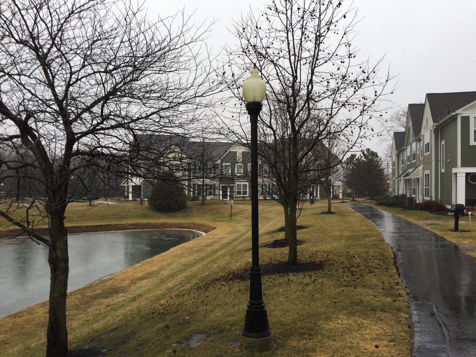 Rainy apartment walkway beside a pond, with bare trees and a lamppost.