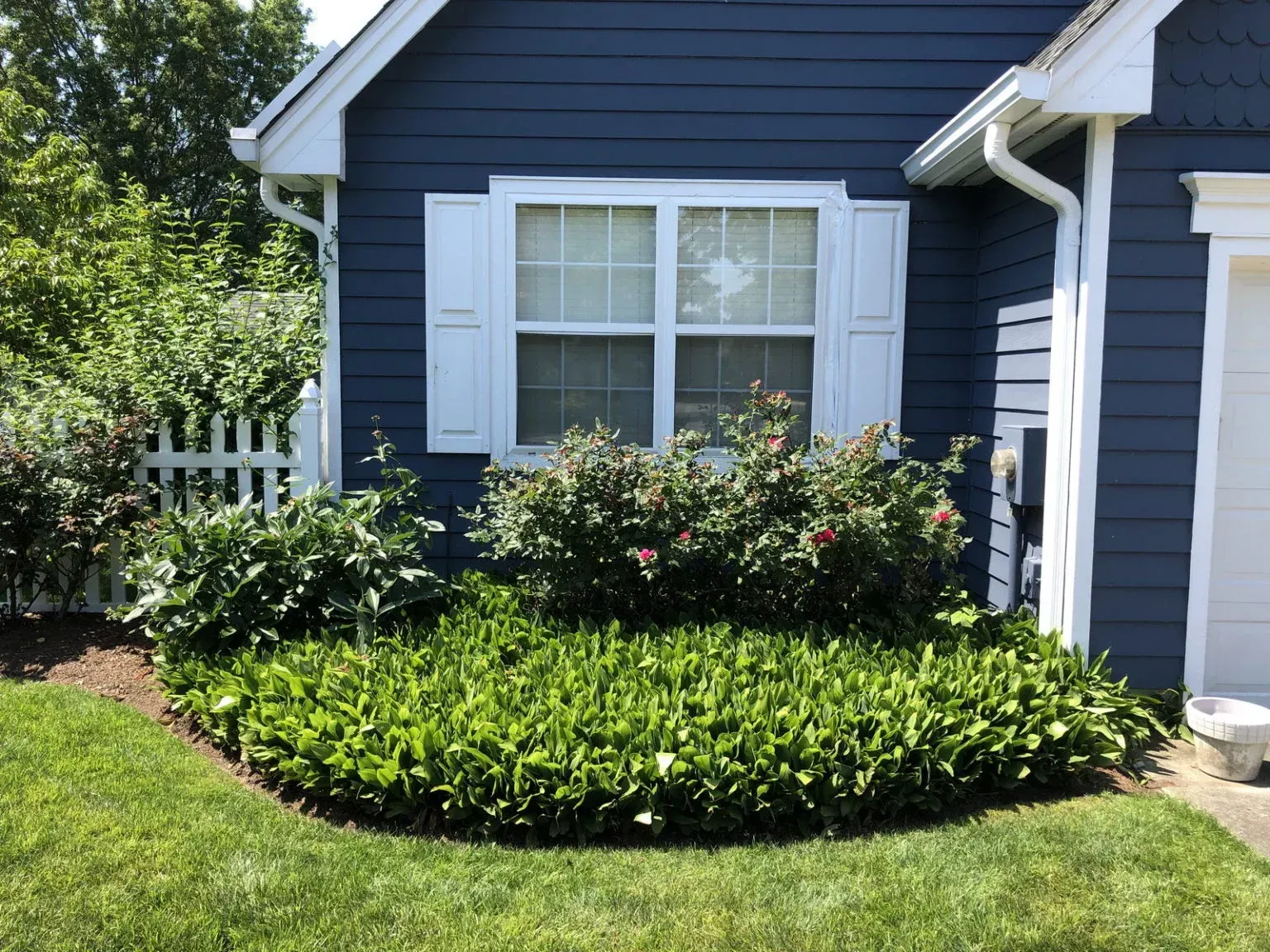 Blue house exterior with white shutters, a window, and a landscaped garden bed in front