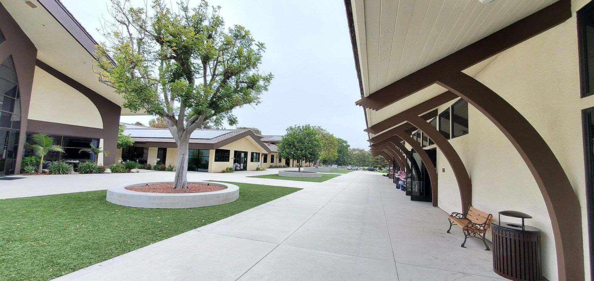 concrete and landscape