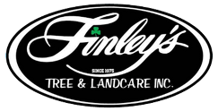 finley landscaping