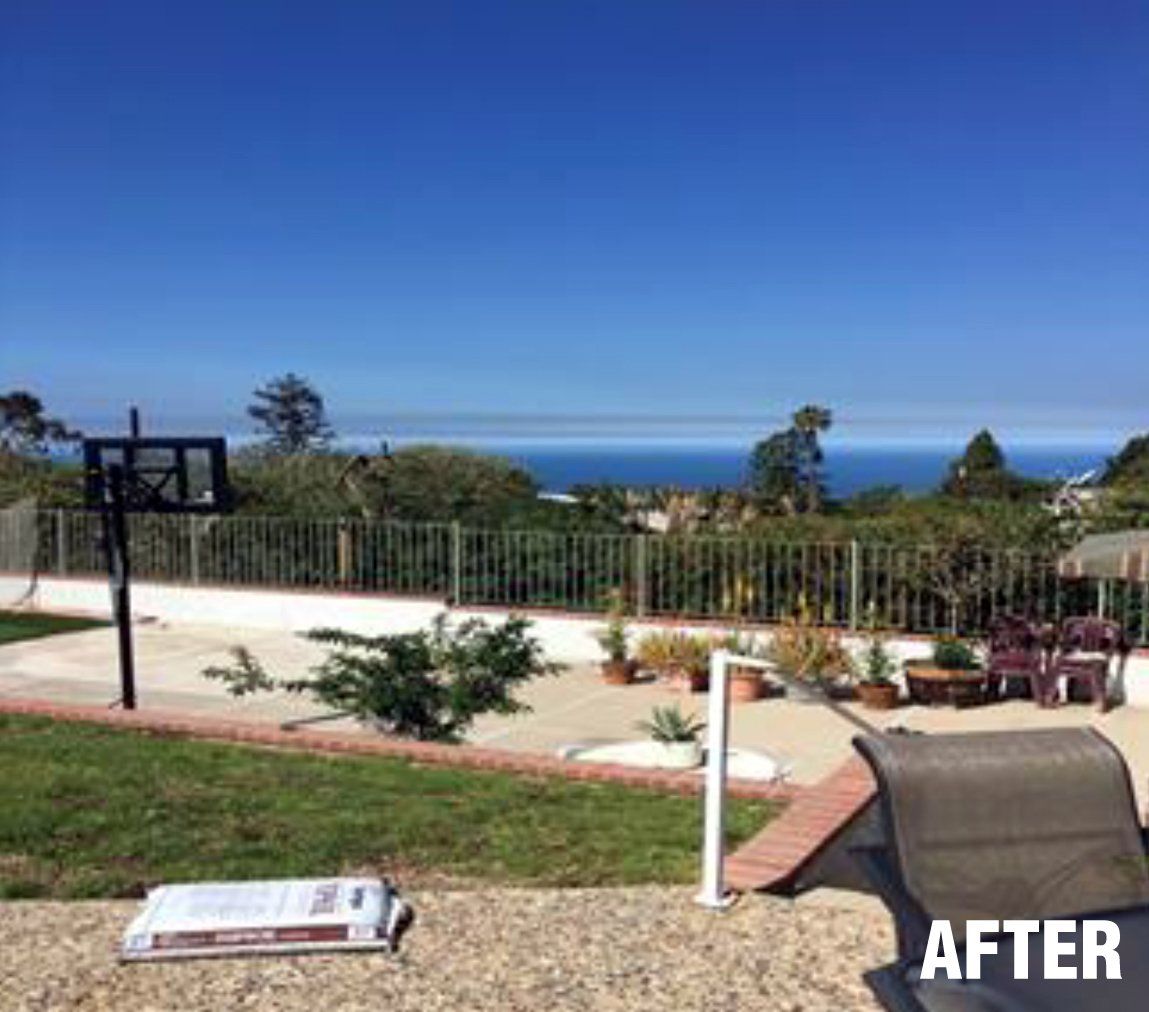 Tree Care and View Restoration