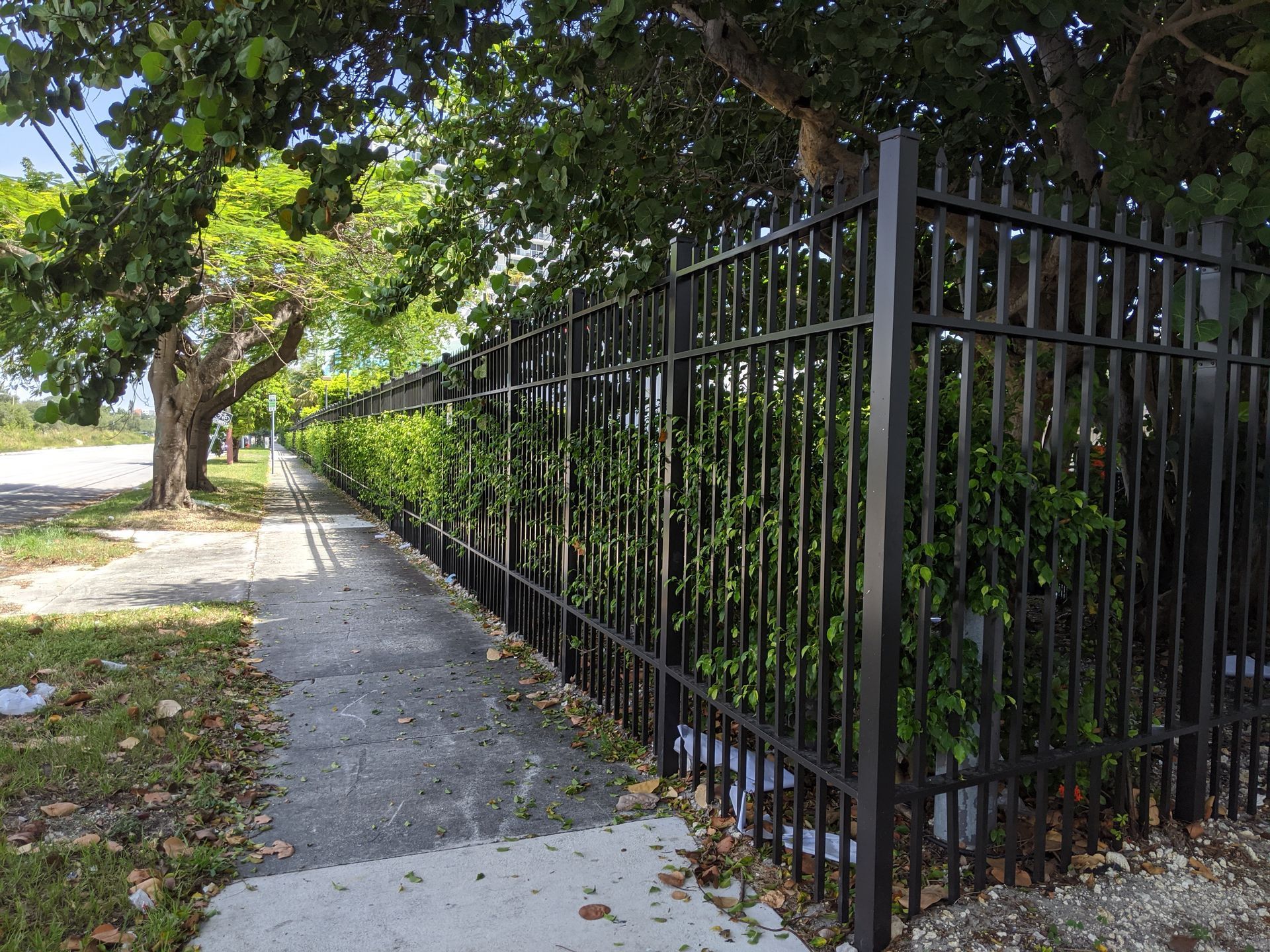 a black metal fence surrounds a sidewalk with trees in the background .