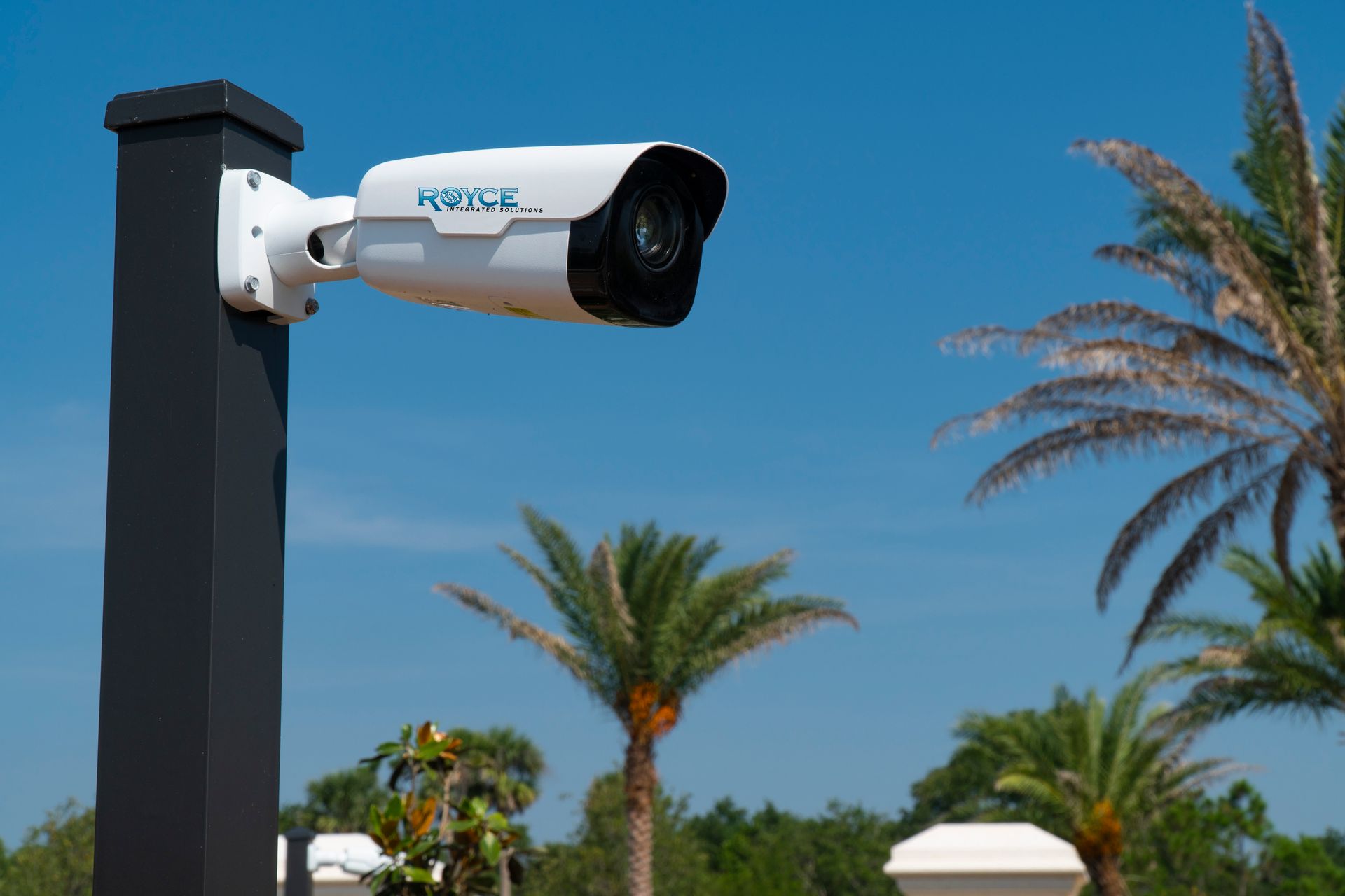 a security camera is mounted on a pole in front of palm trees .