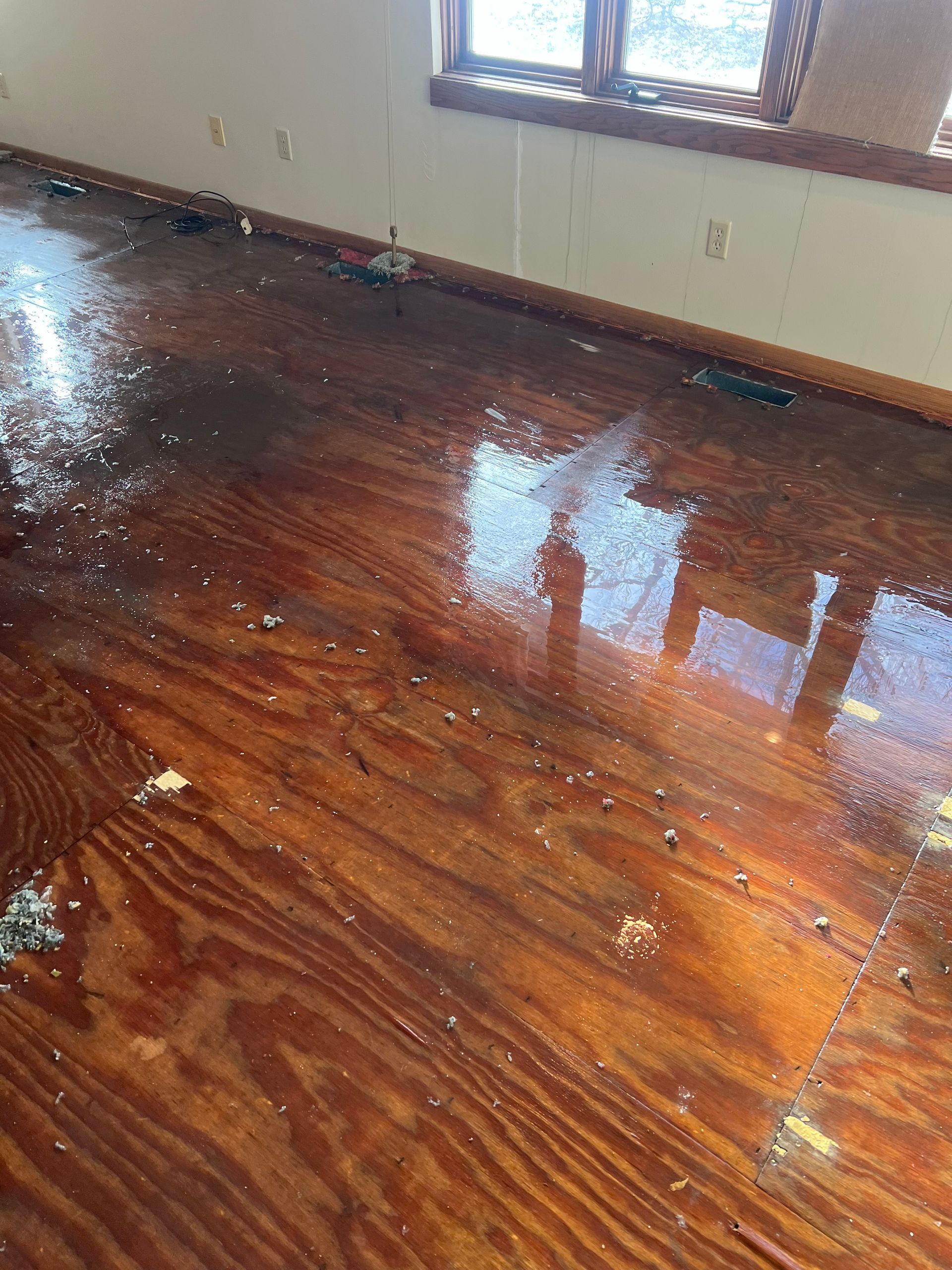 Flooded wooden floor with debris scattered, near a window and wall.