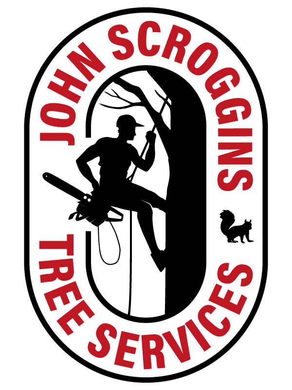 John Scoggins Tree Services logo with a climber silhouette, tree, and red circular text on white background