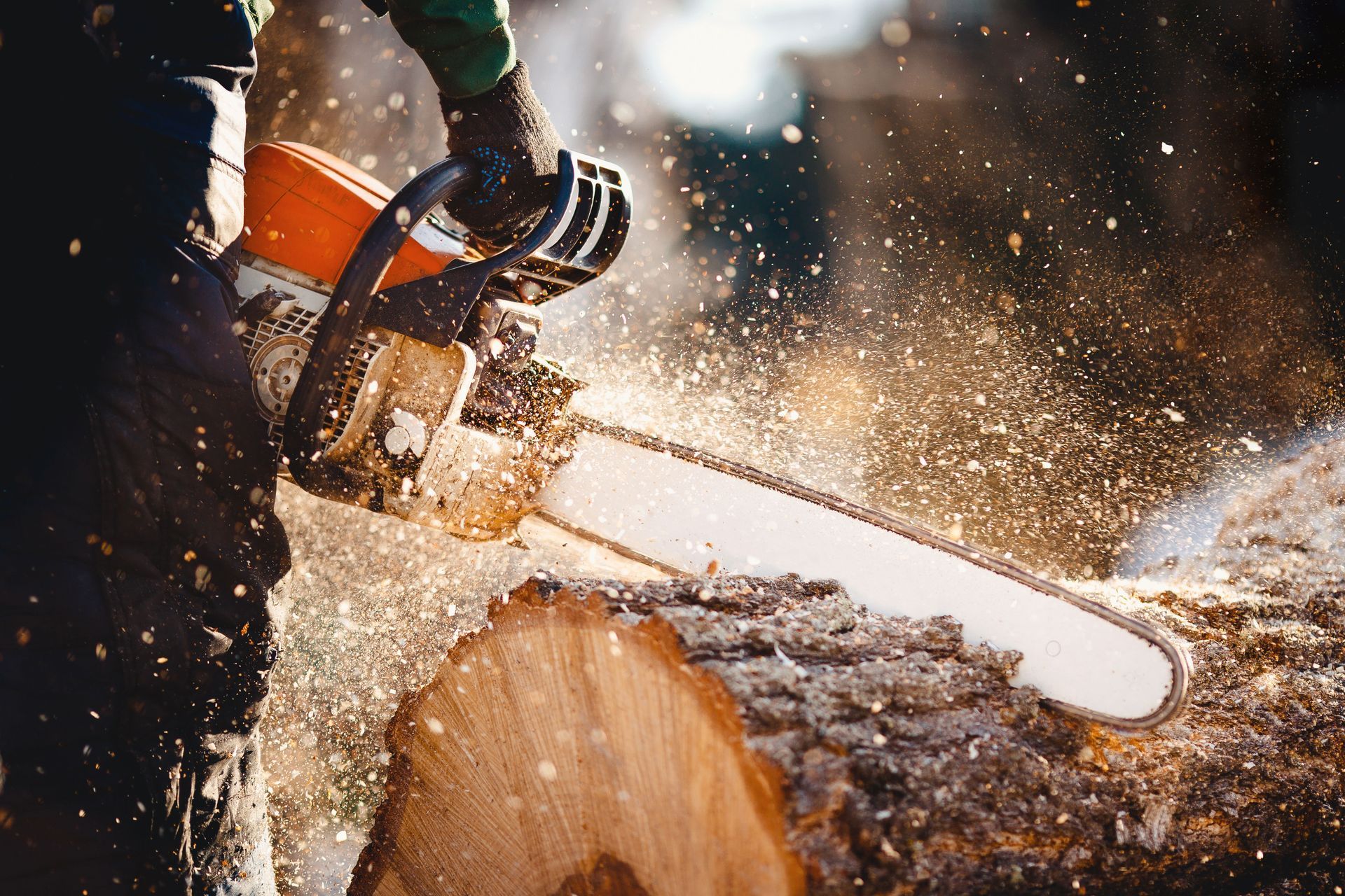 Chainsaw cutting into a log, sending sawdust flying in a wooded outdoor setting