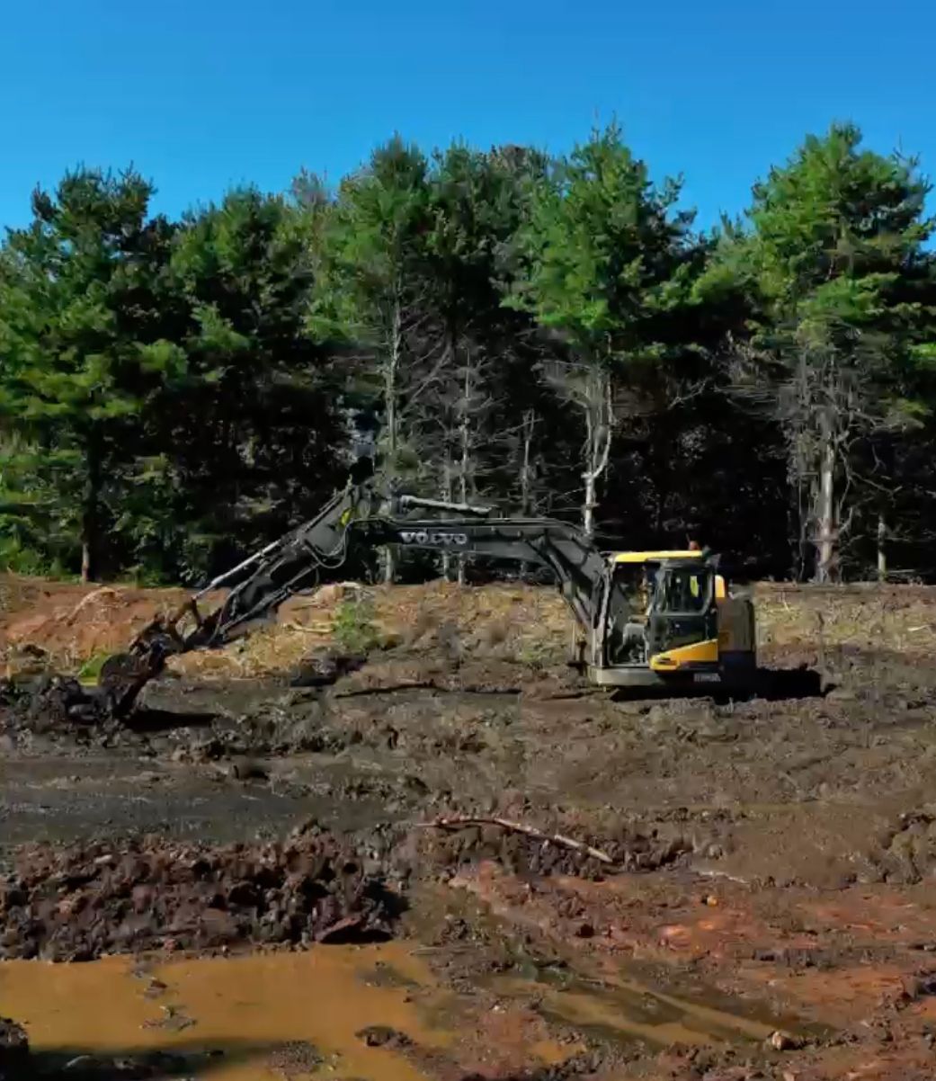 Yellow excavator clearing muddy ground near a forest edge under a blue sky.