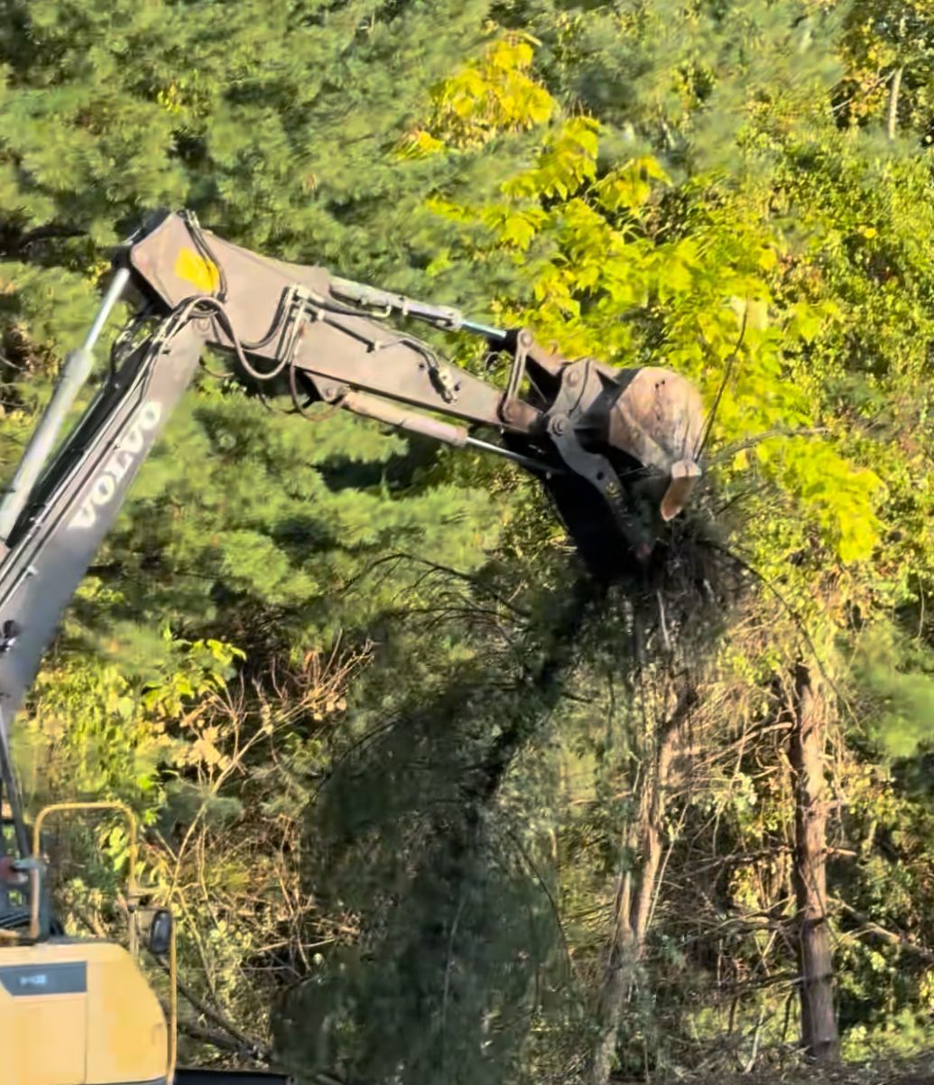 Excavator arm lifting a clump of trees and dirt in a wooded area