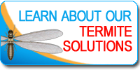 Termite Solutions