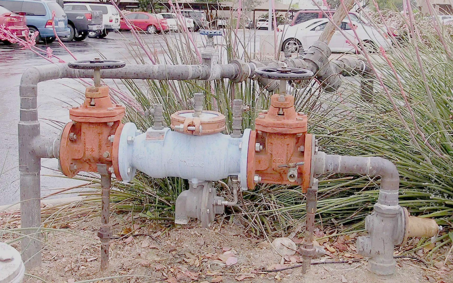 Arizona Certified Backflow Testers LLC backflow testing