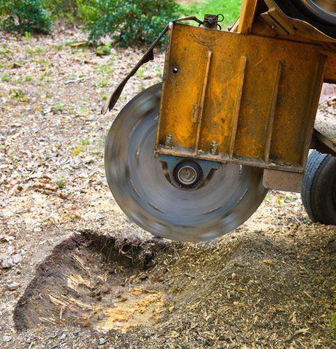 Stump grinding