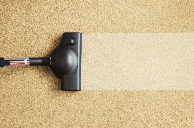 Vacuum cleaner head on beige carpet, cleaning in progress