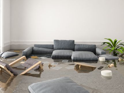 Flooded living room with gray sectional sofa, floating chairs, scattered debris, and a potted plant.