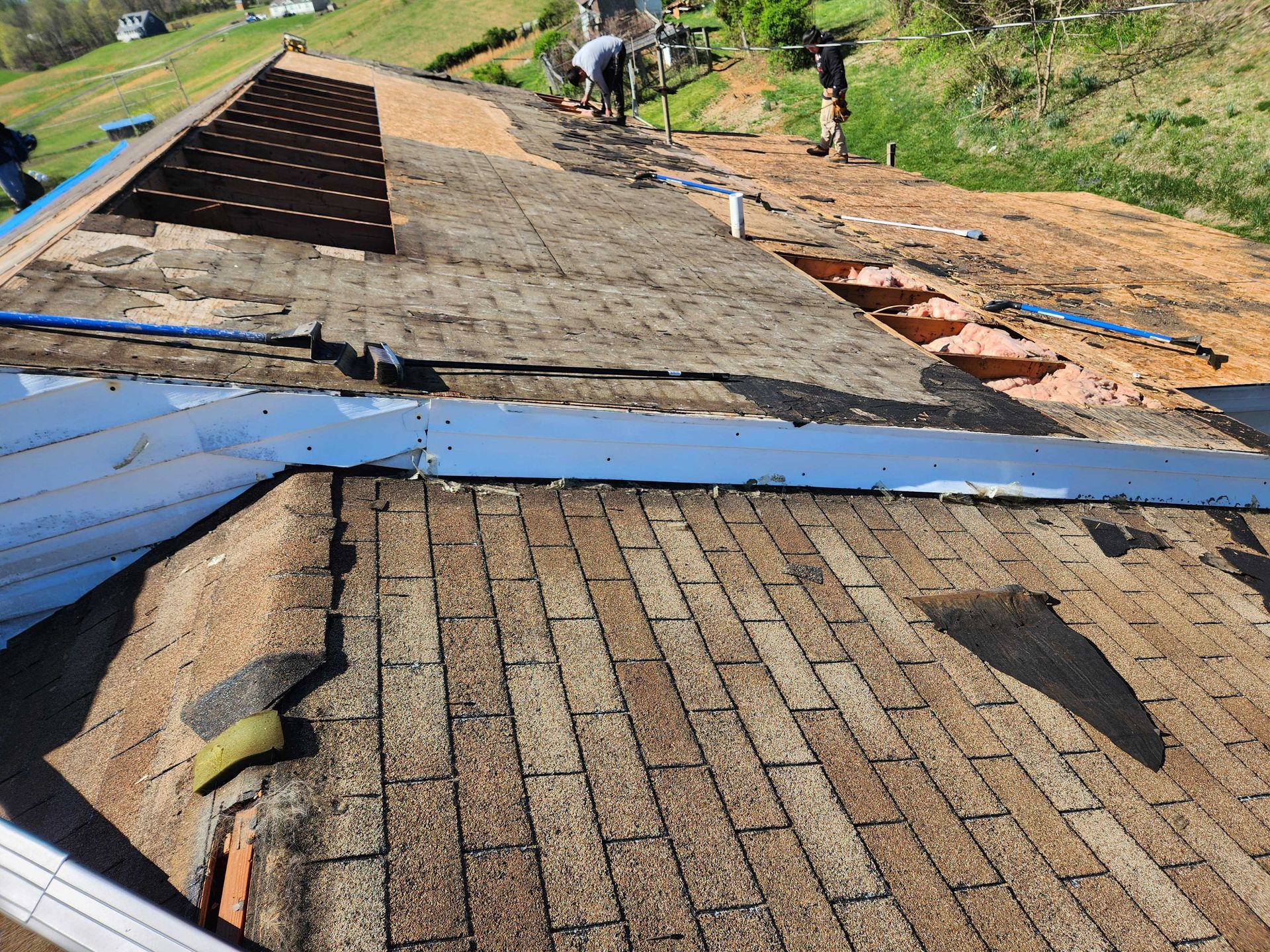 Roofers removing old shingles from a house roof on a sunny day.