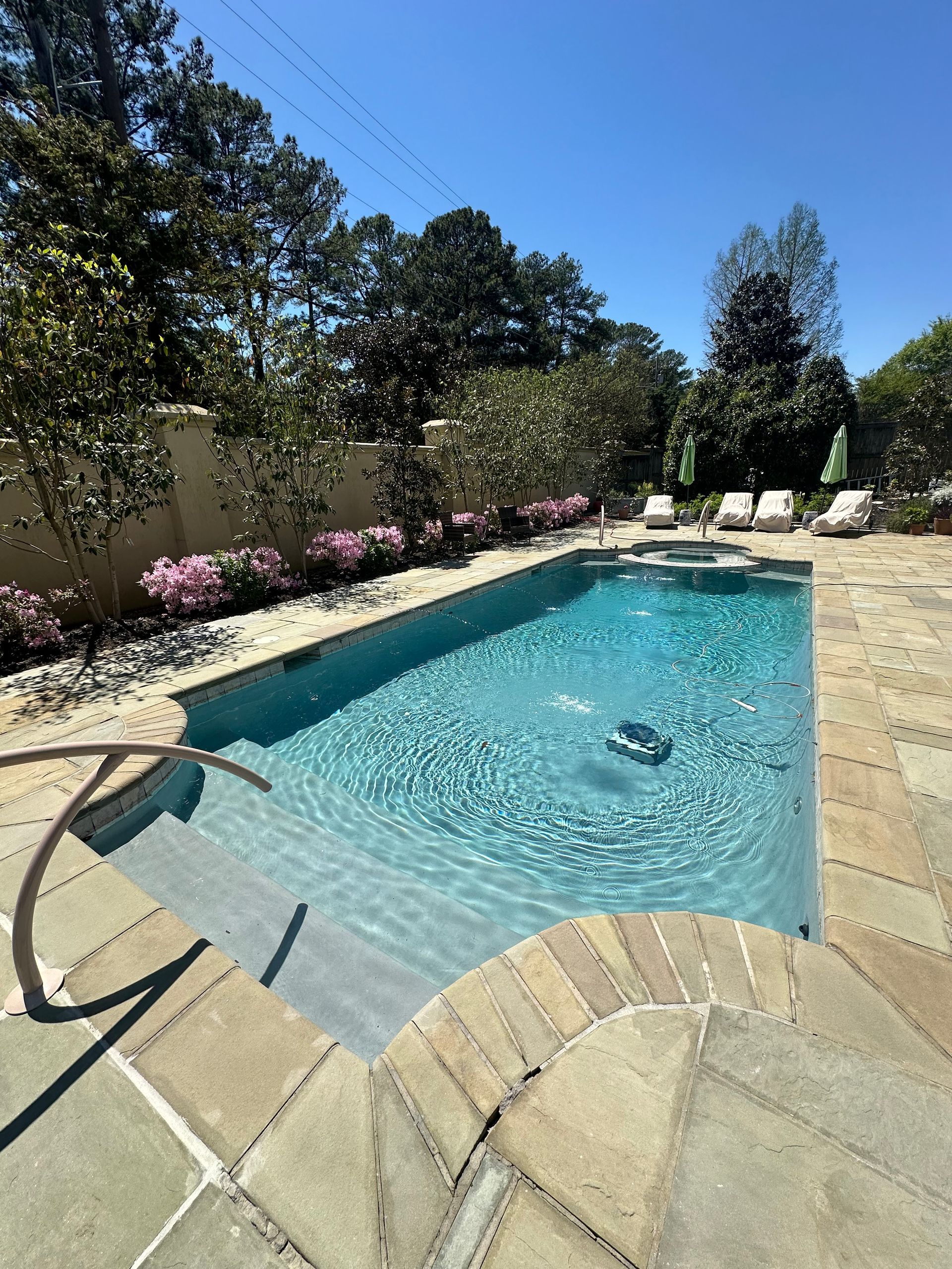 A large swimming pool surrounded by trees and chairs on a sunny day.