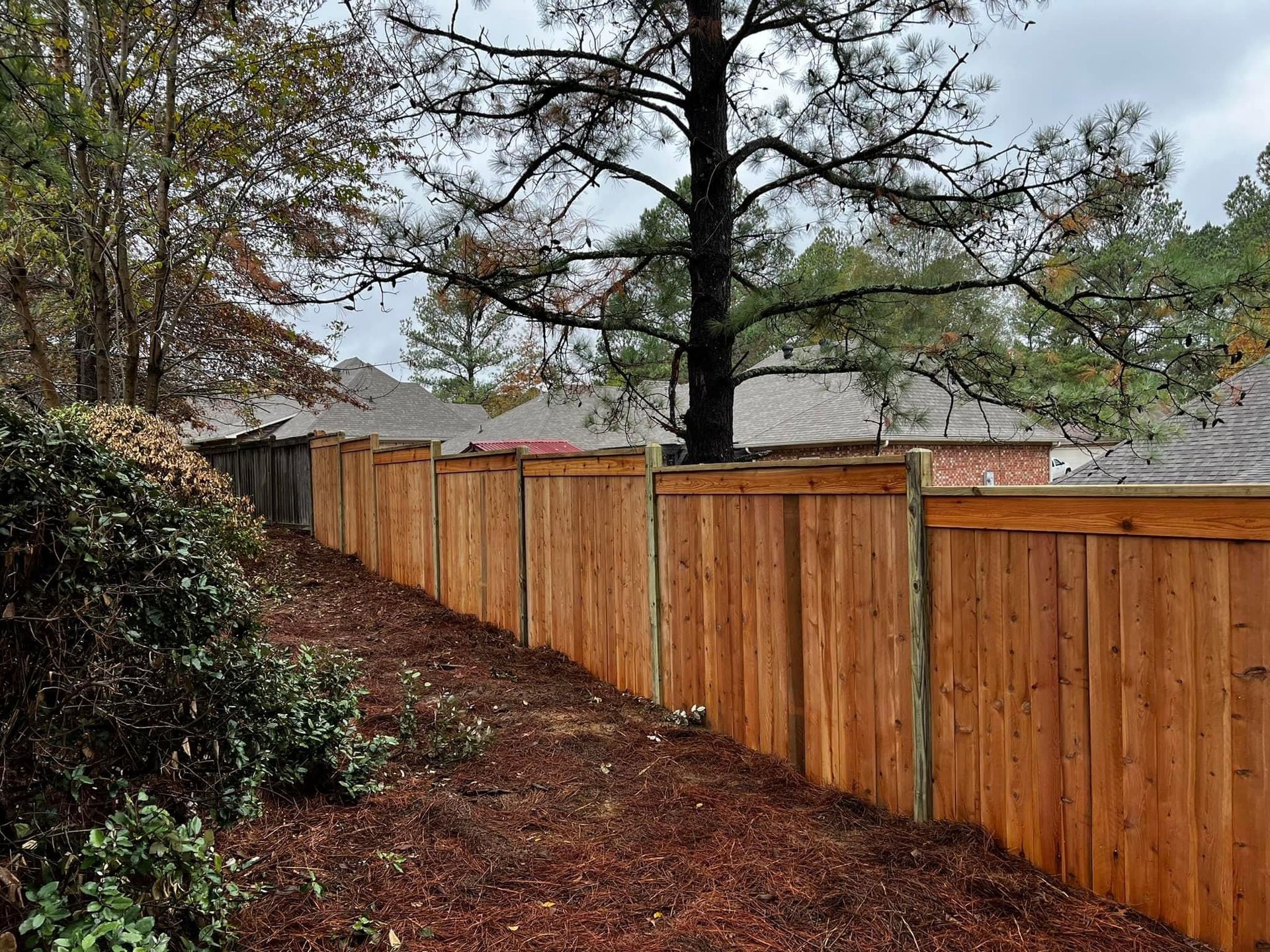 A wooden fence is surrounded by trees in a backyard.