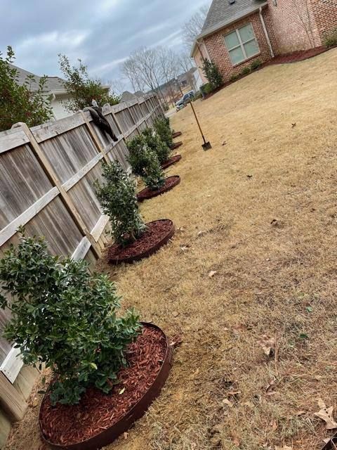 Planted trees