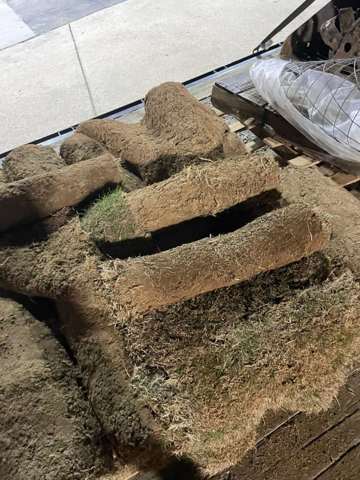 Sod Installation