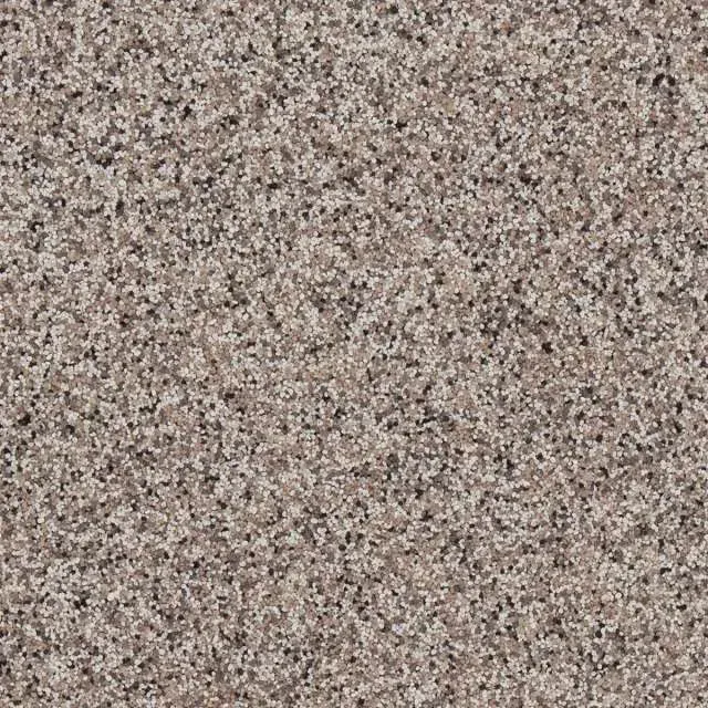 Close-up of speckled gray-beige textured surface.