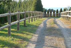 agriculture fence