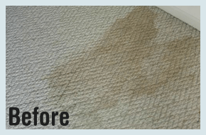Carpet with coffee stain