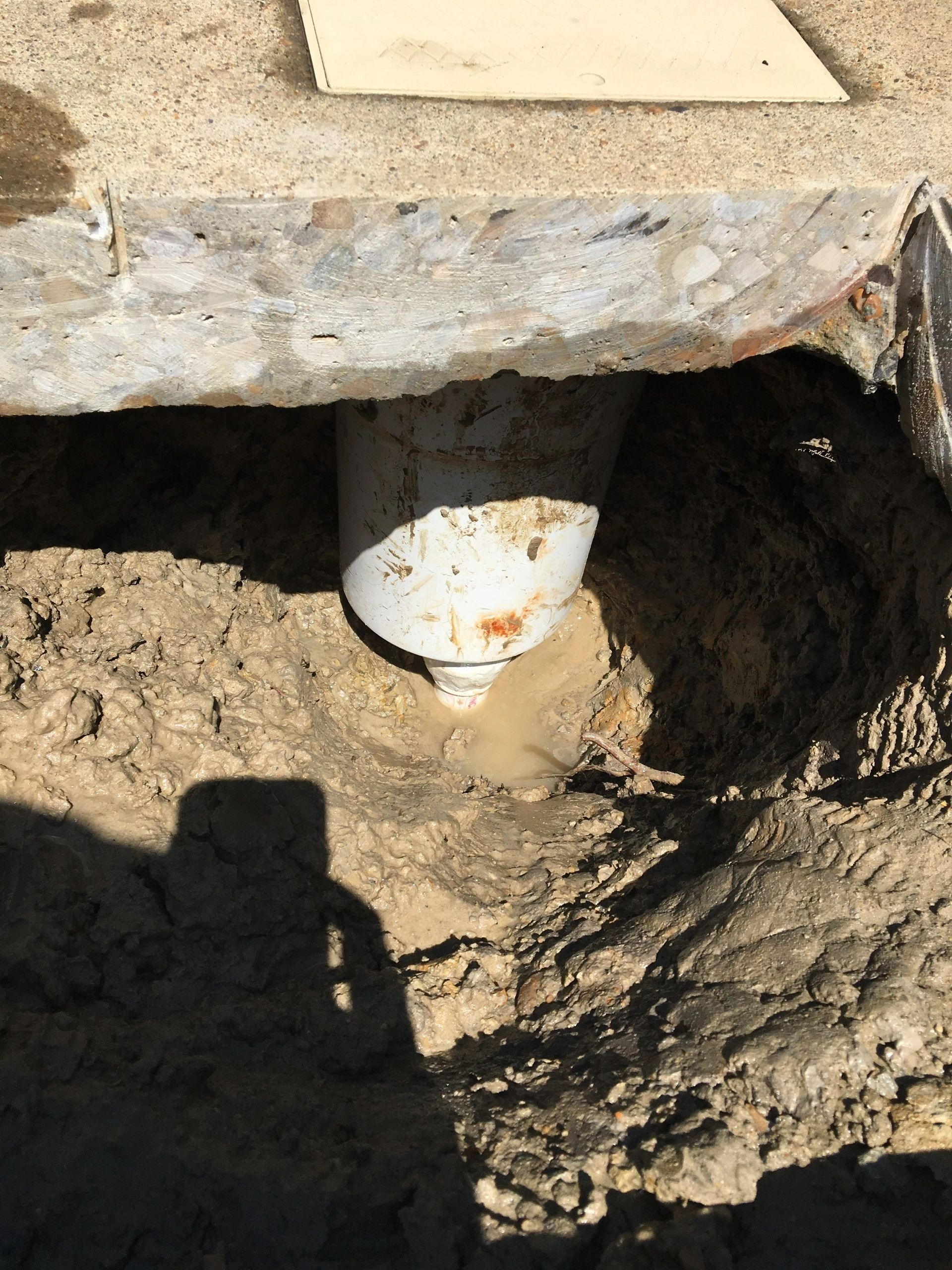 Swimming pool services