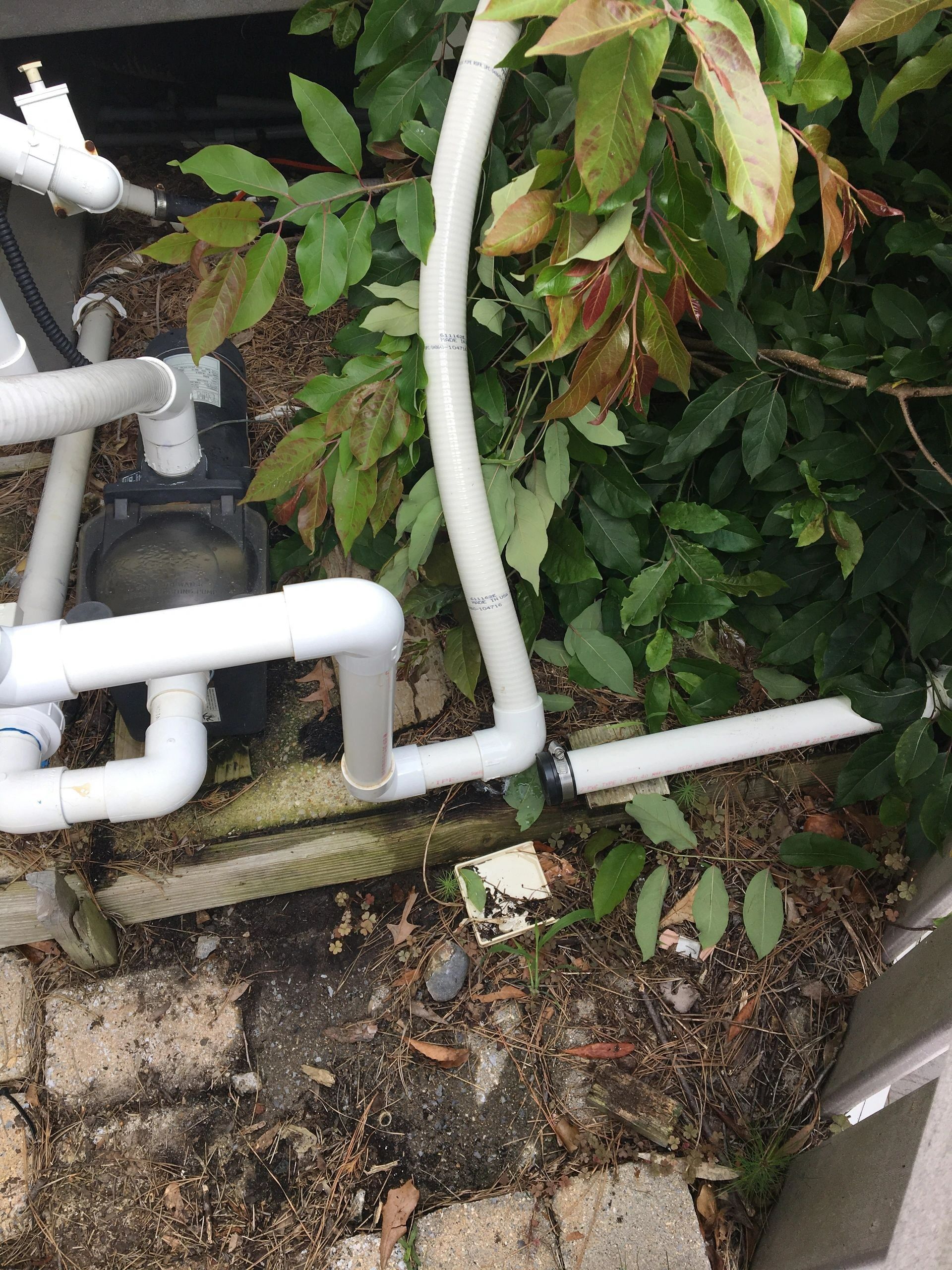 Swimming pool services