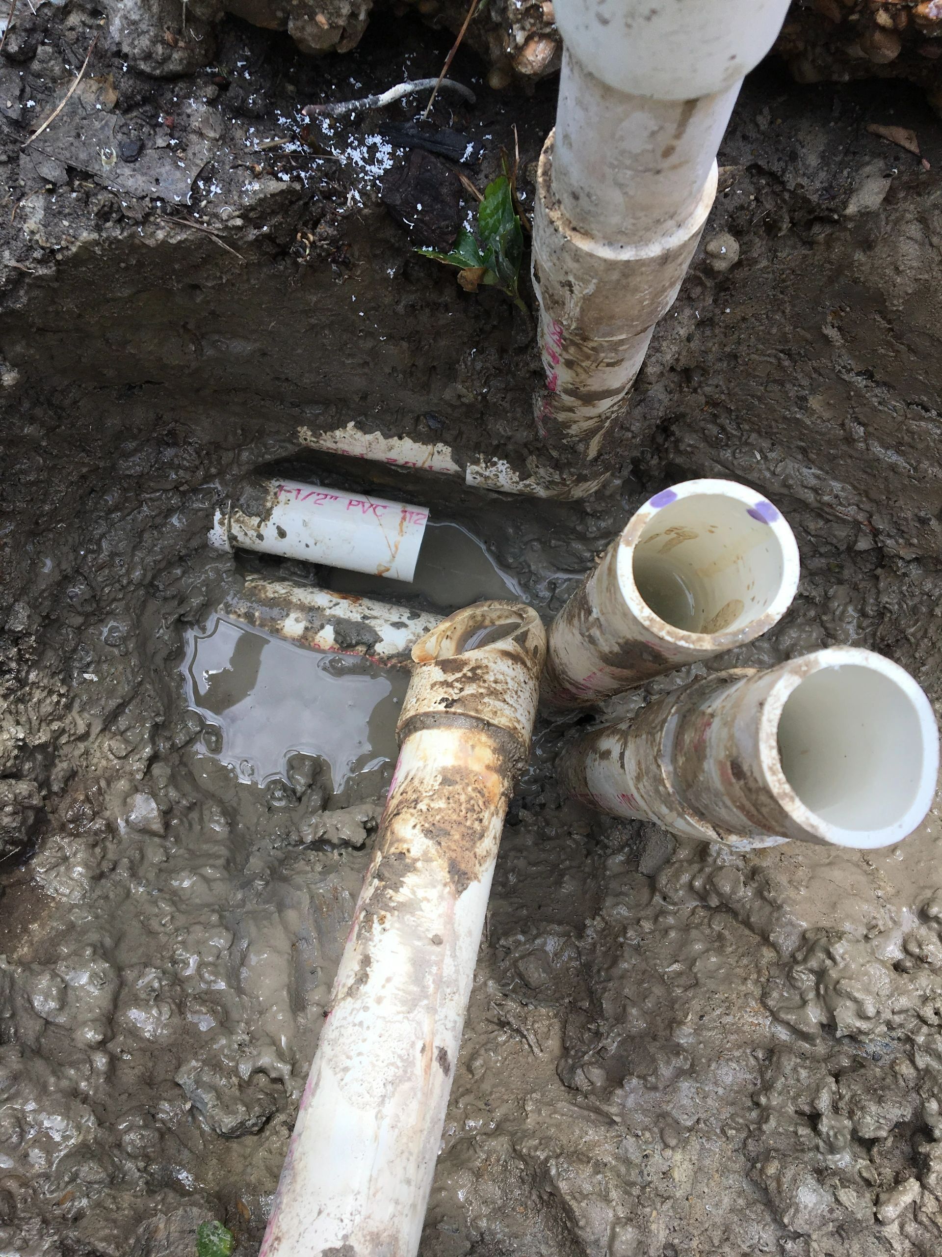 Swimming pool services