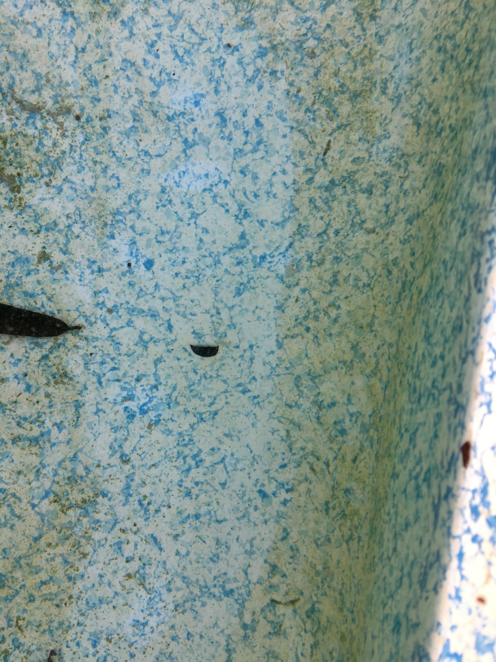 Swimming pool services