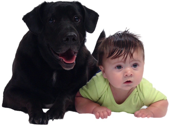 Dog with baby