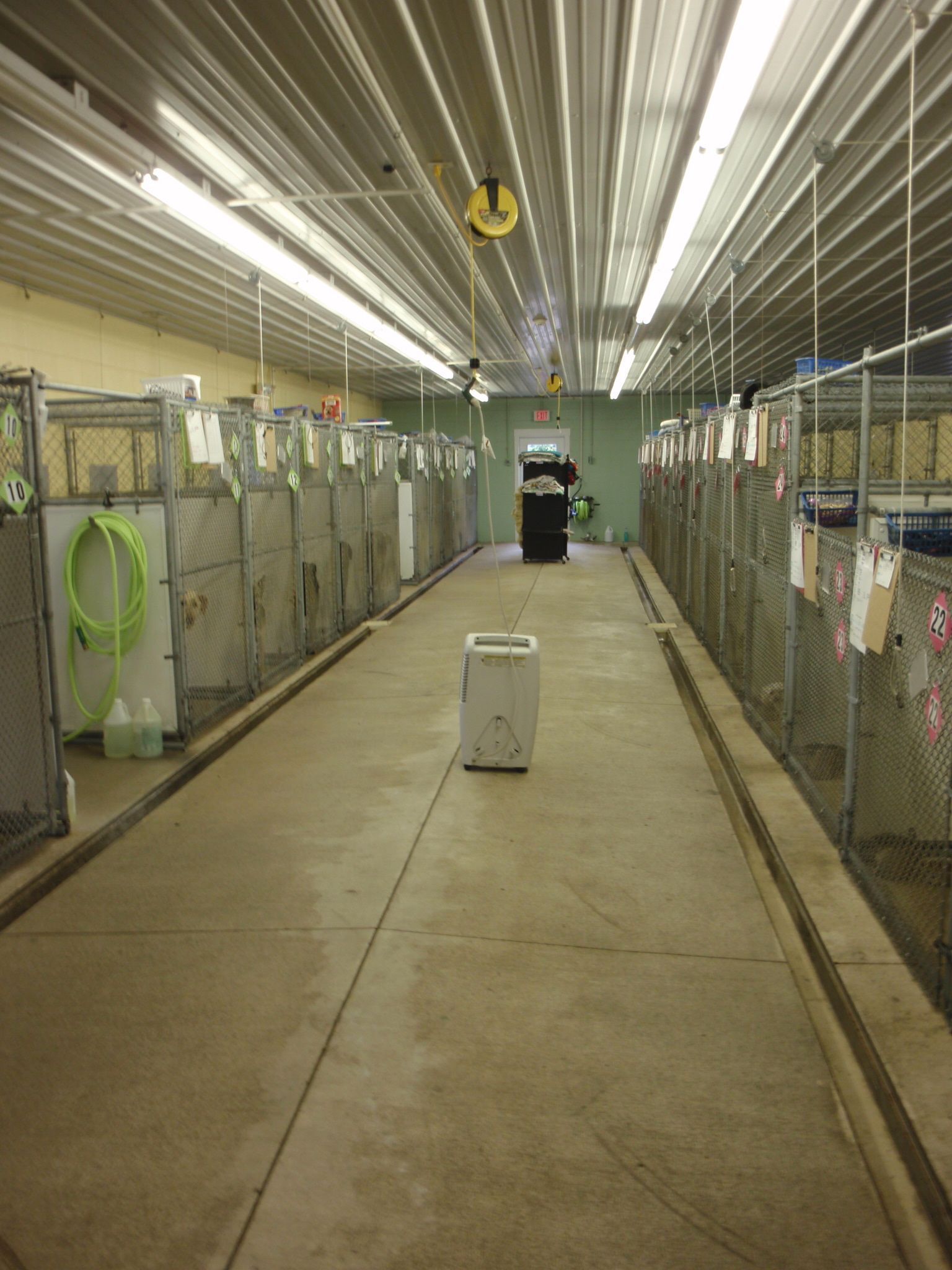 Kennel