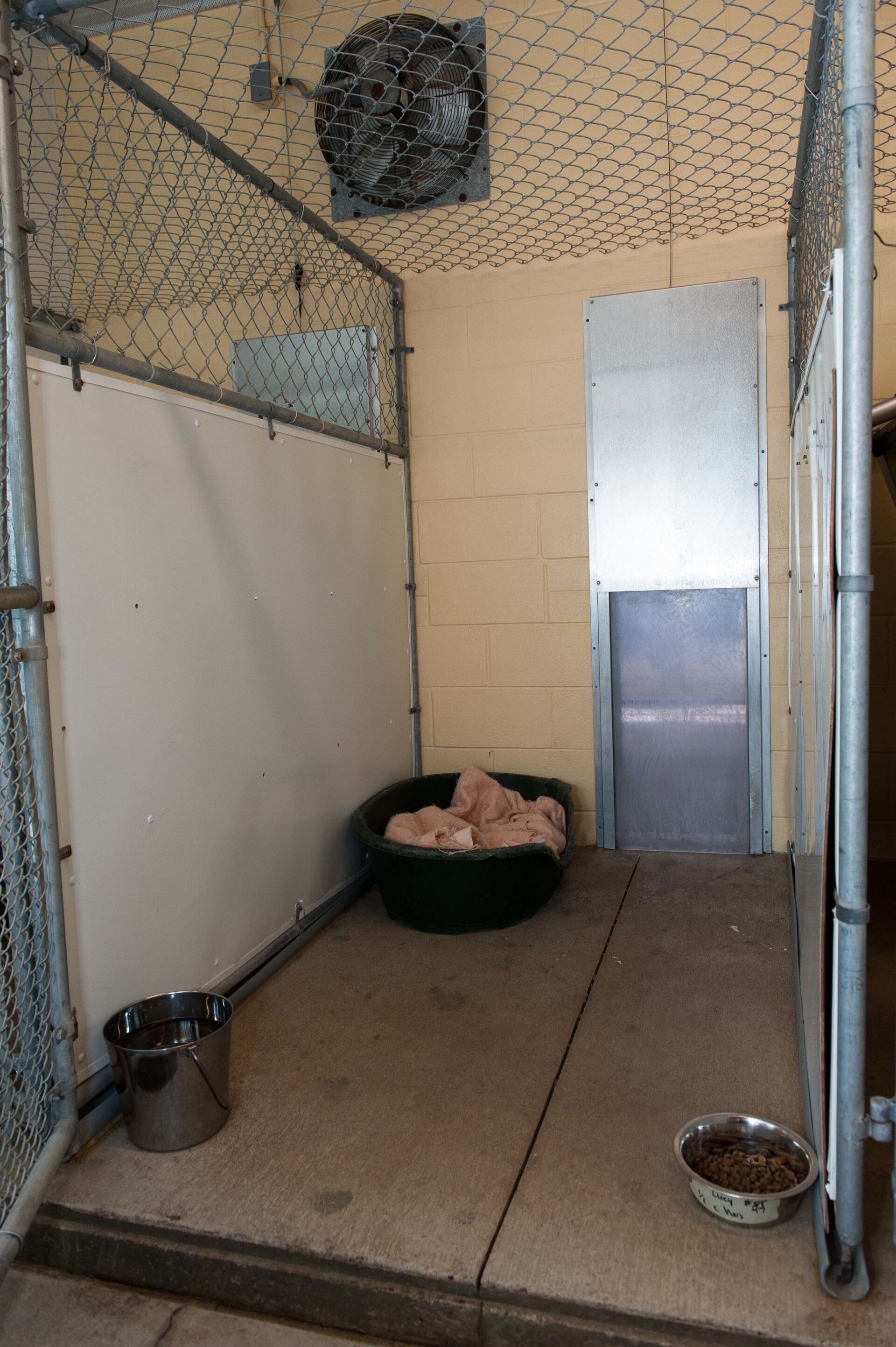 Kennel