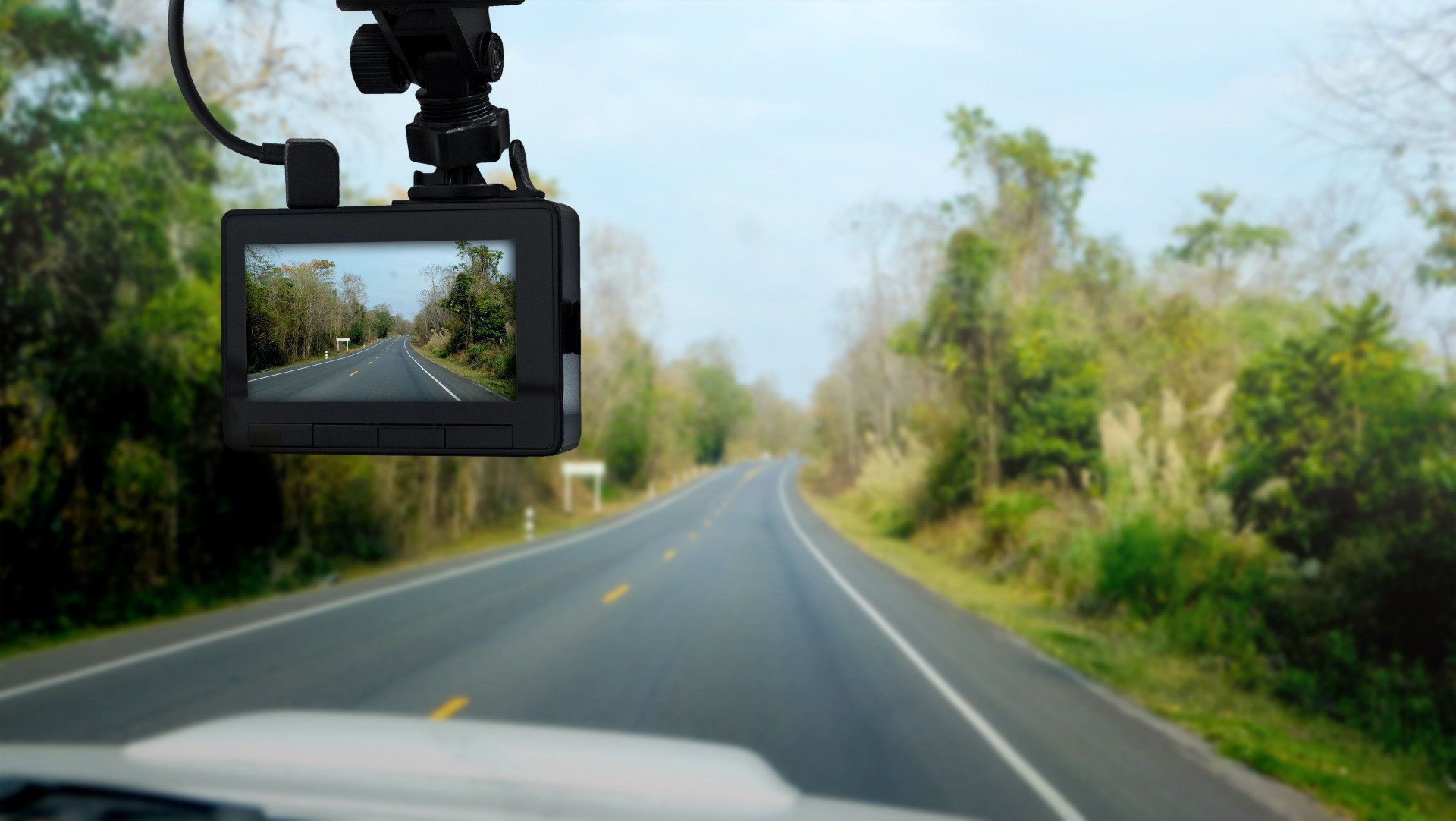 Dashcam view of a winding road through green trees under a clear sky