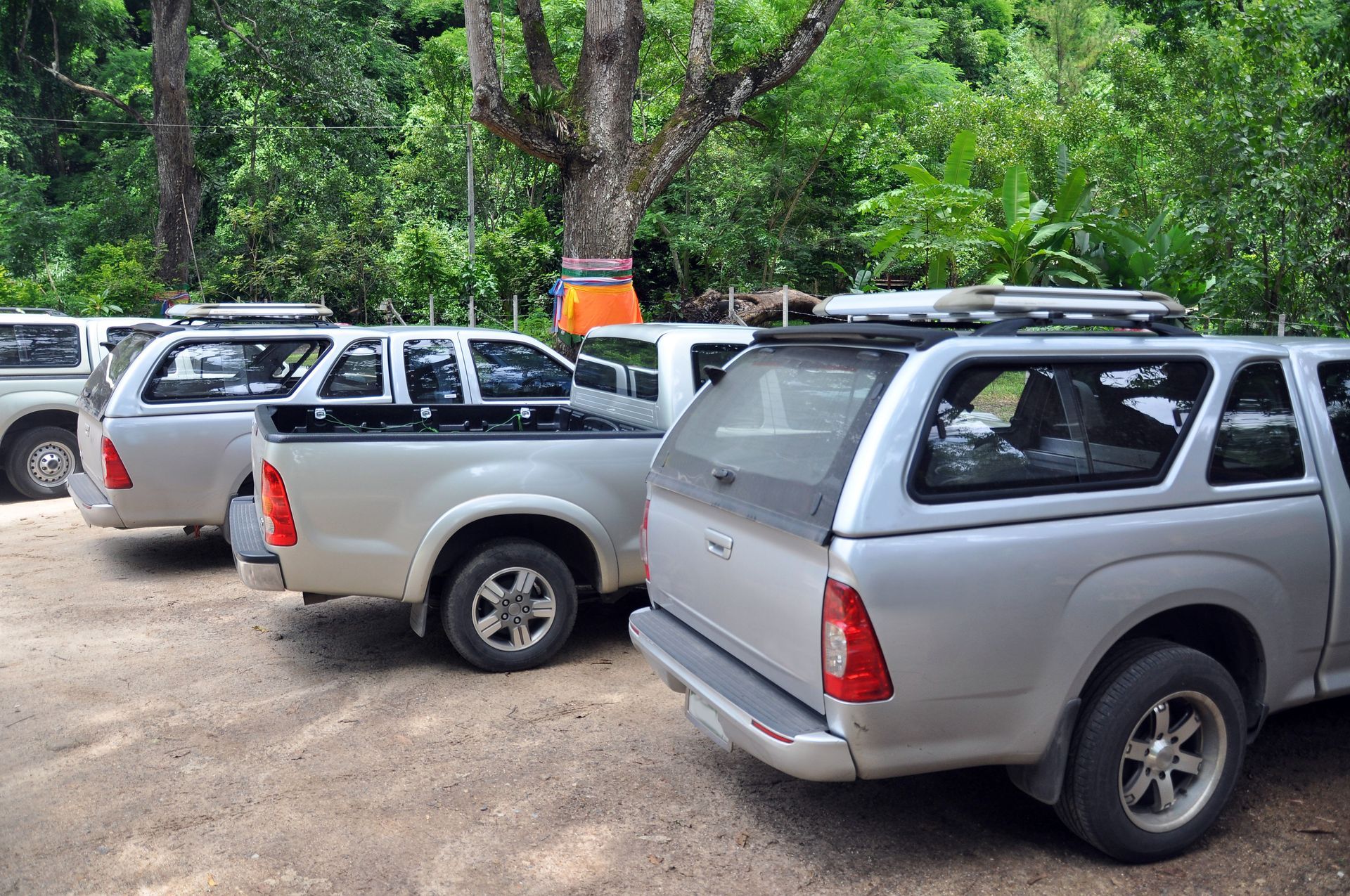 Several silver pickup trucks parked on a dirt lot beside trees