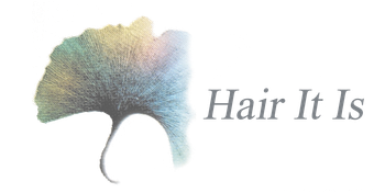Hair It Is - Logo