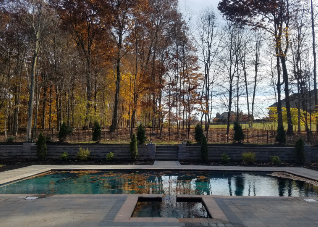 Pool reflecting autumn trees; gray stone wall with shrubs, brown and yellow foliage.