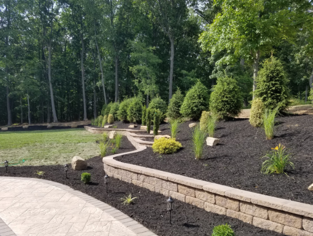 Stone retaining wall with dark mulch, various plants, and a paved walkway.