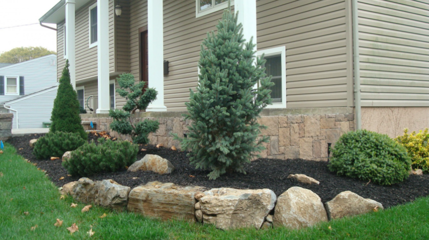 House with front yard landscaping featuring various evergreen shrubs and a stone retaining wall.