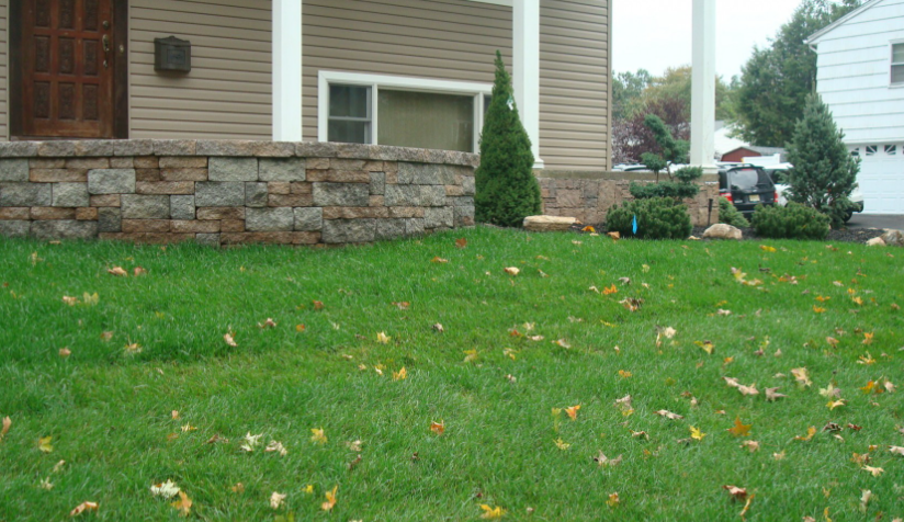 Green lawn in front of a tan house with stone accents, a brown door, and scattered fallen leaves.