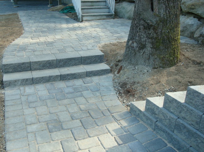 Stone paved pathway with steps leading to a house entrance; mature tree on the right.