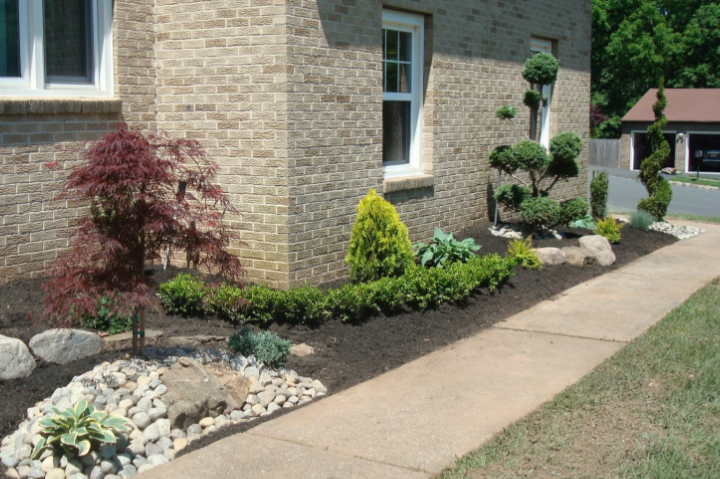 Landscaped garden bed with dark mulch